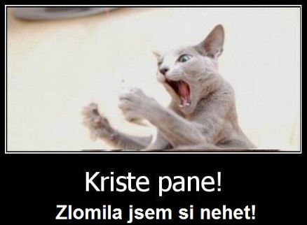 Presne ako ženy