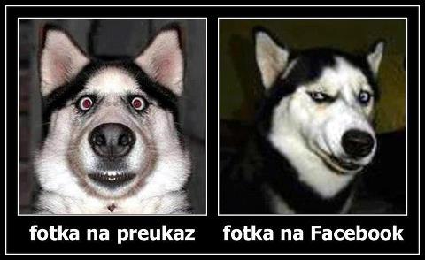 preukaz_vs_facebook1
